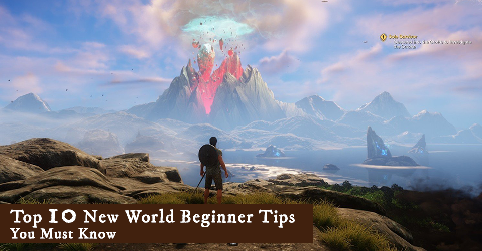 New World Beginner Tips