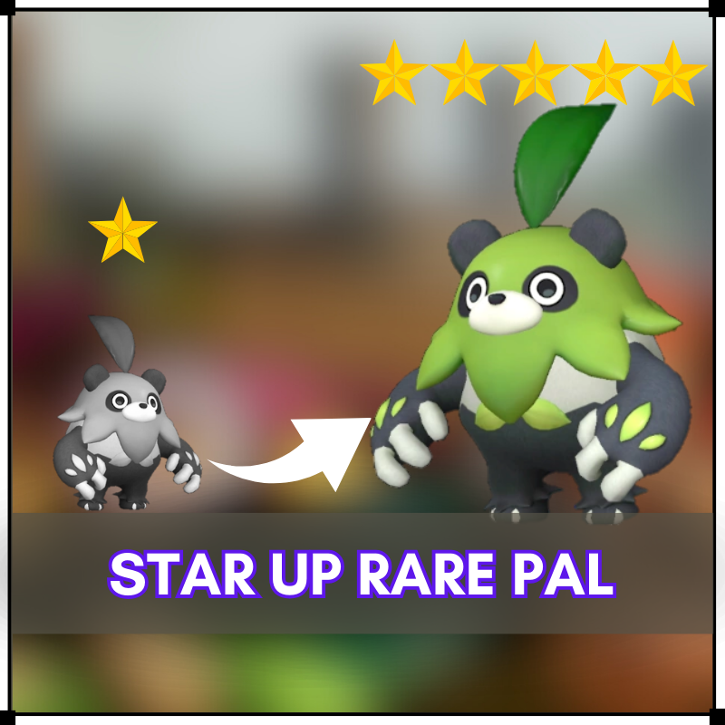 starup rare pal
